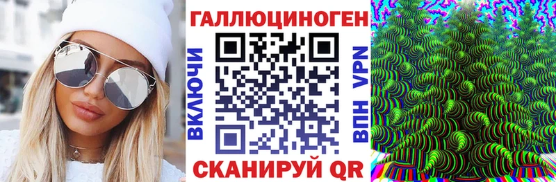 закладка Магадан Галлюциногенные грибы MAGIC MUSHROOMS