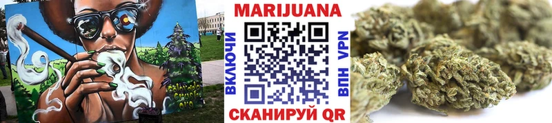 Каннабис SATIVA & INDICA  МЕГА ТОР  Магадан  как найти наркотики 